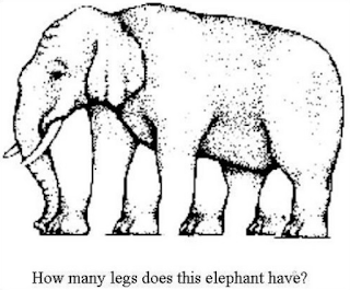 Elephant Illusion