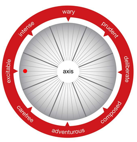 Risk Compass Adam W